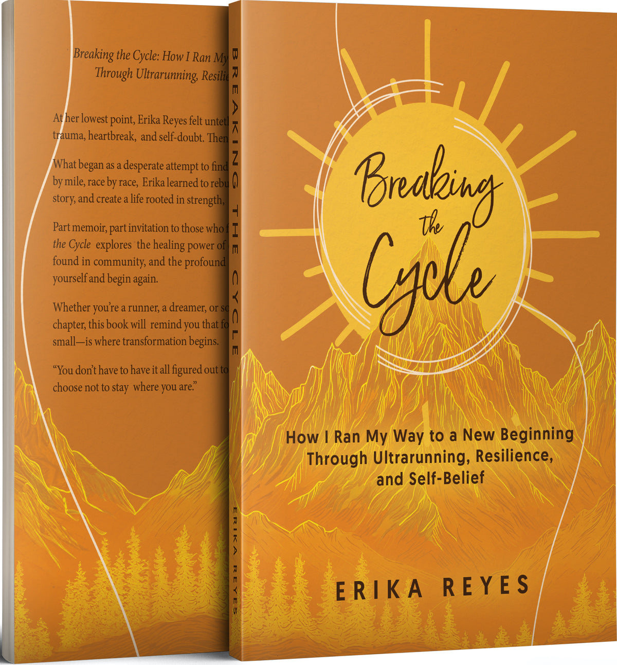 Breaking the Cycle - Erika Reyes (Paperback)