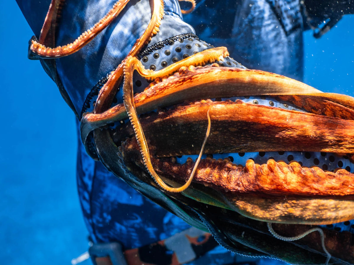 1.5mm Women's Open Cell Wetsuit - Blue Trilobite Camo