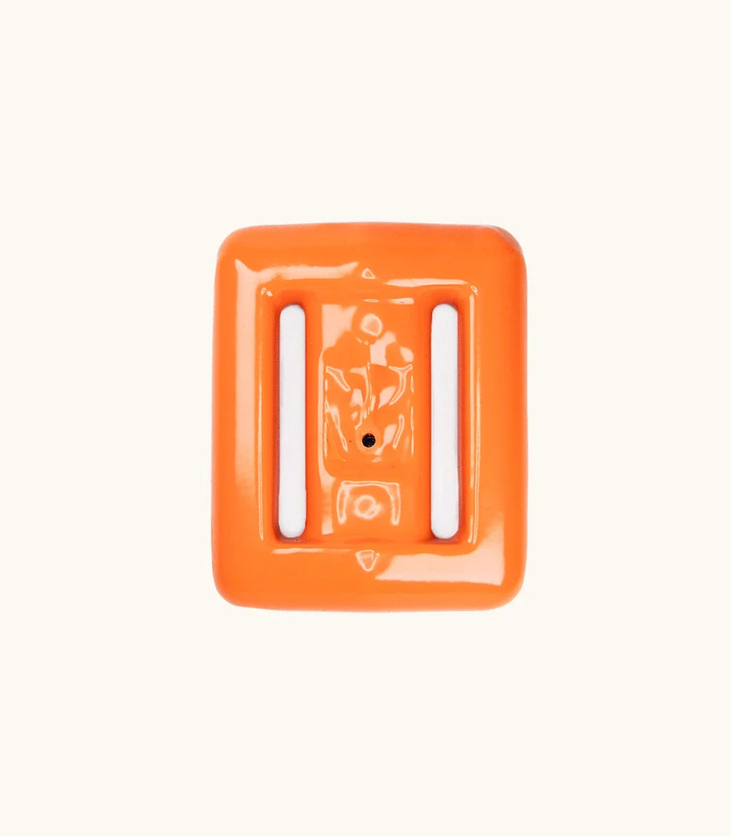 Clownfish